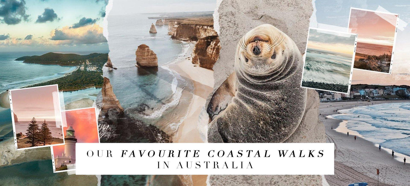 Our Top Favourite Coastal Walks In Australia | Hello Molly